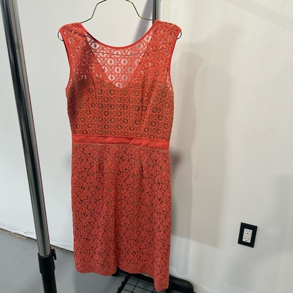 BCBG Maxazria Dress - Picture 1 of 4